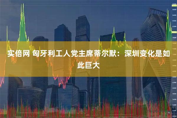 实倍网 匈牙利工人党主席蒂尔默：深圳变化是如此巨大